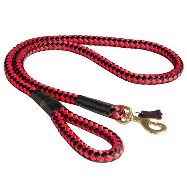 big dog leash