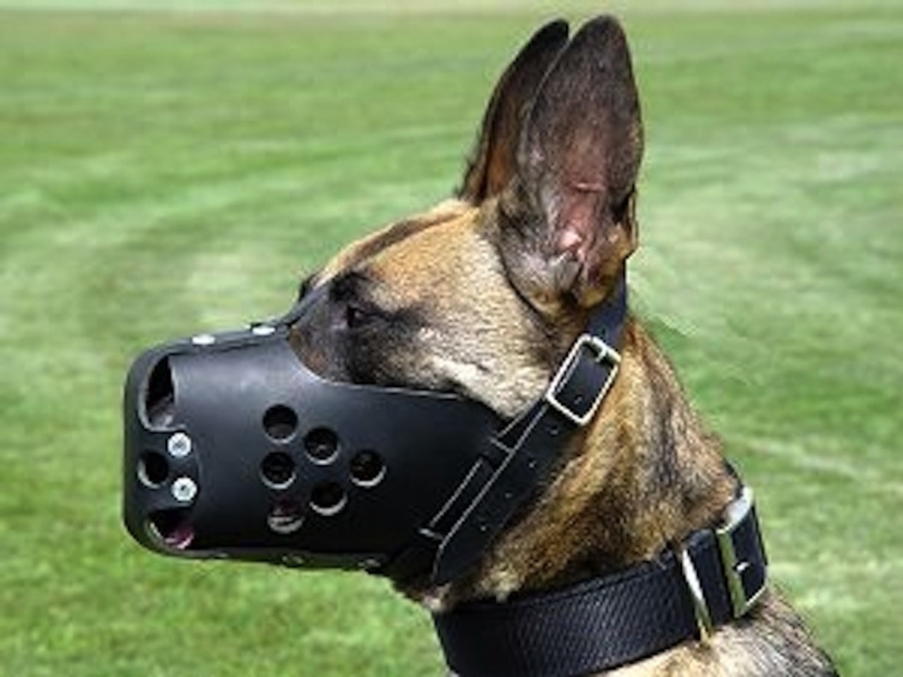 k9 muzzle