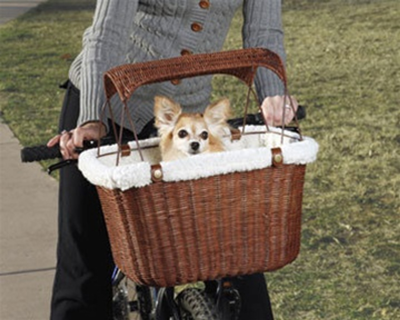 solvit deluxe tagalong bicycle basket for dogs