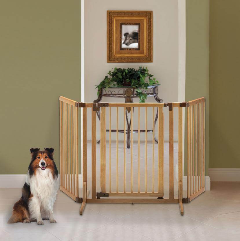 richell premium plus freestanding pet gate