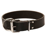 Super Wide Leather K9 Collar Super Wide Leather K9 Collar