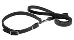 Leather Leash with Collar Combo