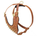 Spiked Attack & Protection Leather Dog Harness Spiked Attack & Protection Leather Dog Harness