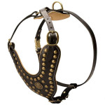 Studded Reinforced Padded Leather K9 Harness Studded Reinforced Padded Leather K9 Harness