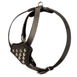 Studded Leather Puppy Harness Studded Leather Puppy Harness