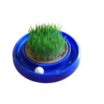 Bergan Turbo Cat Grass Bergan Turbo Cat Grass