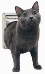 PetSafe Deluxe Cat Flap PetSafe Deluxe Cat Flap