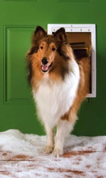The 4 Best Dog Doors For Winter