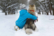 How Pet Doors Improve Your Pet’s Health and Happiness
