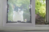 Cat Doors for Windows, Doors and Walls