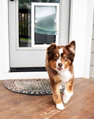 How Pet Doors Help Create a More Pet-Friendly Home