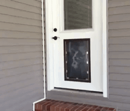 Choosing the Right Flap Type for Your Pet Door
