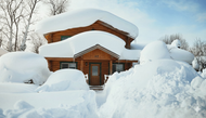 Why Every Dog Owner Should Consider an Insulated Pet Door