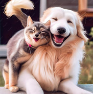 The Surprising Connection Between Pet Freedom and Better Behavior