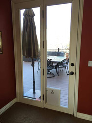 5 Signs It’s Time to Replace Your Old Pet Door