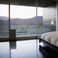 Dog Doors for Glass