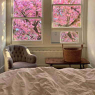 Cat door for sliding window or sash window cat door