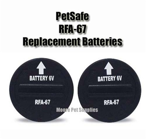 PetSafe RFA-67 Replacement Battery, 6-Volt Lithium