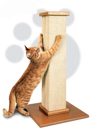 The Ultimate Scratching Post