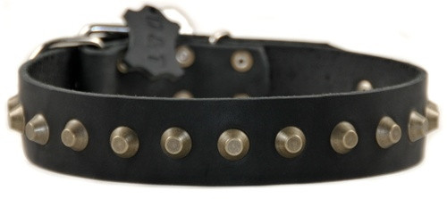 D&T Simply Stunning Collar