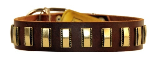D&T Brass Line Collar