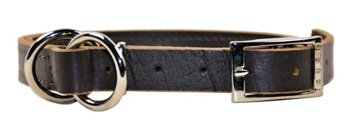 D&T Strictly Business Collar