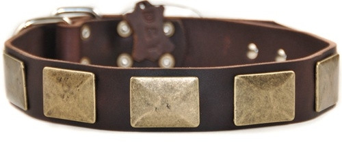 D&T Brass Plate - Leather Collar
