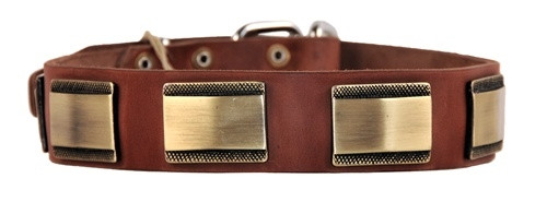 D&T Brass Style Collar