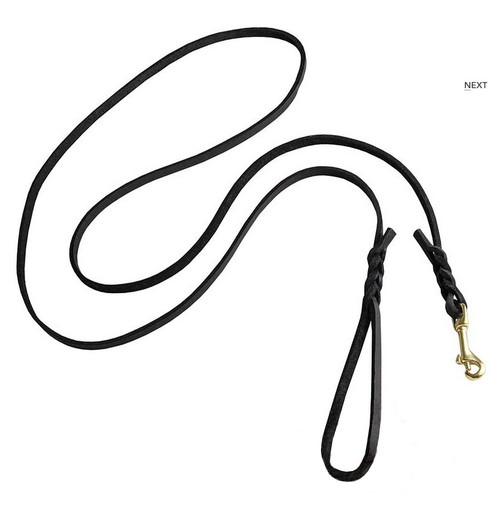 Braided Leather Show Dog Leash