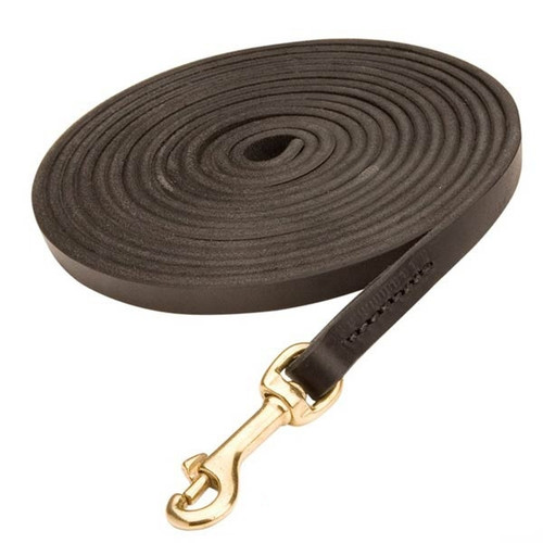Leather K9 Leash for Dog Tracking