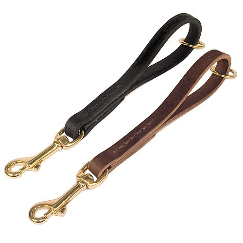 Short Pull Tab Dog Leash