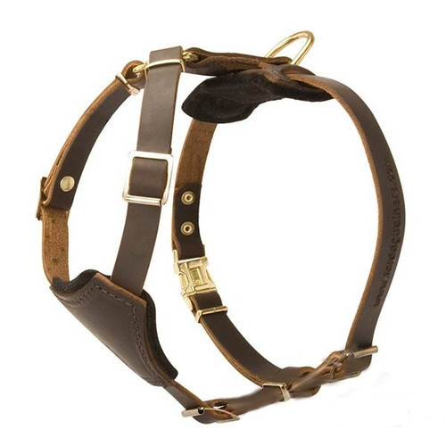 Leather K9 Harness for Puppies & Small Breeds