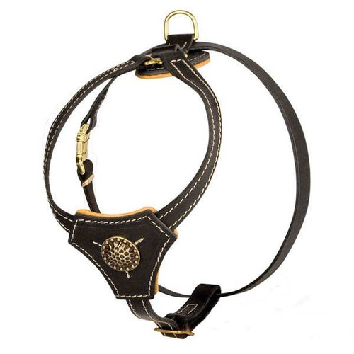 Decorated Leather K9 Harness for Puppies & Small Breeds