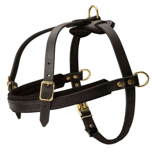 Haul & Pull Leather Dog Harness