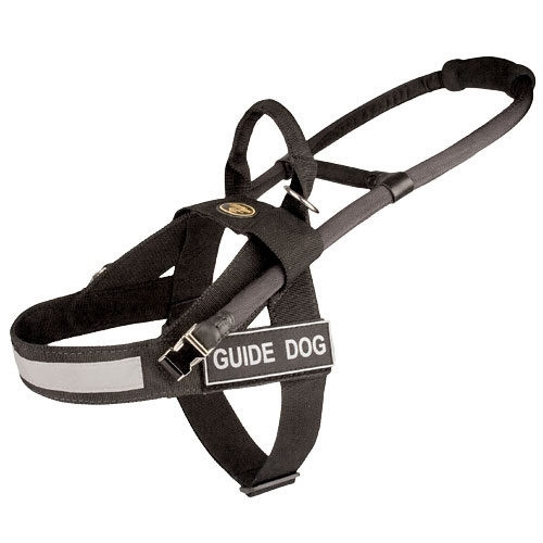 Guide & Assistance Nylon K9 Harness
