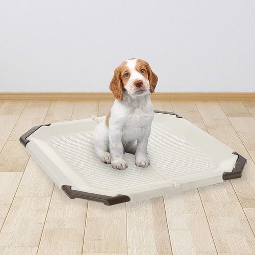 PAW TRAX Potty Pad Holder