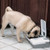 PetSafe 2-Meal Feeder