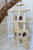 74 Inch Cat Tree