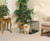 Midwest Life Stages SINGLE DOOR