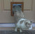 MaxSeal Door Mount Pet Door