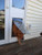 MaxSeal Insulated Lockable Patio Pet Door Insert
