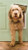 Petsafe Plastic