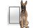 Aluminum Dog Door