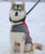 Nylon Winter Warming K9 Vest