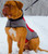 Nylon Winter Warming K9 Vest