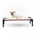 Self-Warming Pet Cot