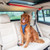 Happy Ride™ Dog Zipline