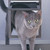 PetSafe Screen Door