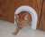 Cat Hole