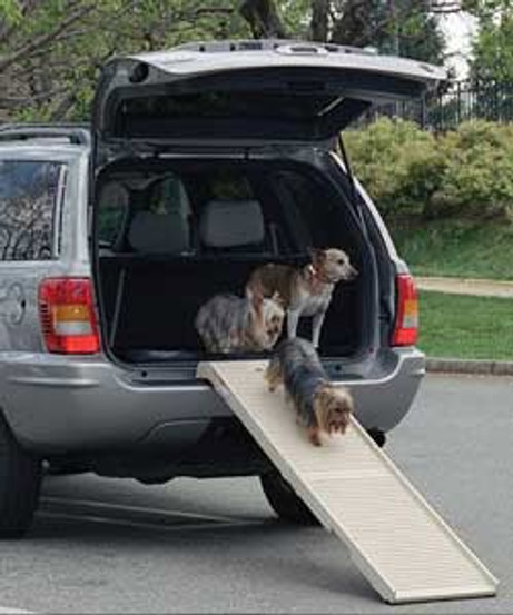 PetStep Folding Pet Ramp